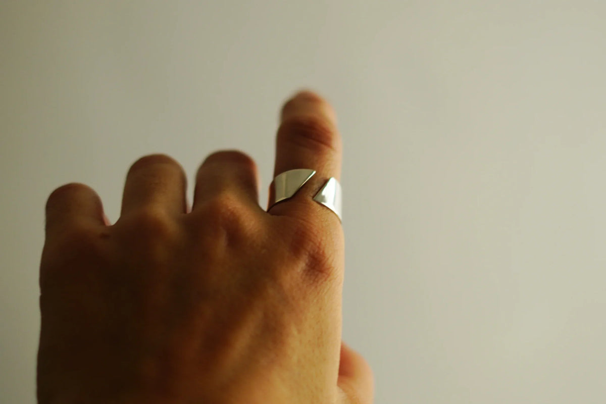 Anell FIL – fotografia 3